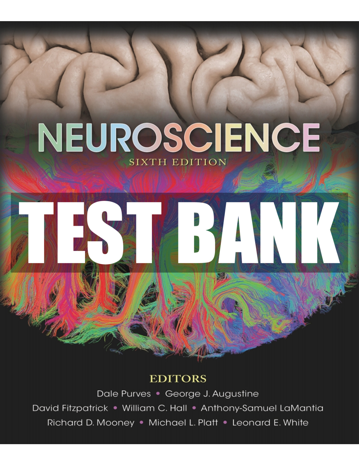 Preview image for Neuroscience 6th Edition Purves - Test Bank | Revised 2022